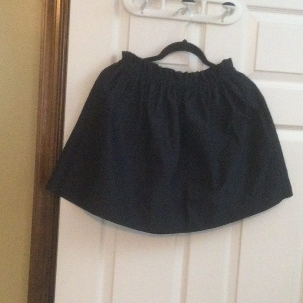 Zara Skirt NWT